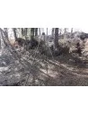 Fox Weighing Tripod трипод - Разни - Fox