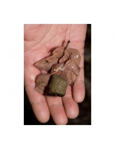 Пелети за сом 29мм 2kg  - Пелети  - CarpFishing mall 2